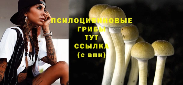 крисы Валуйки