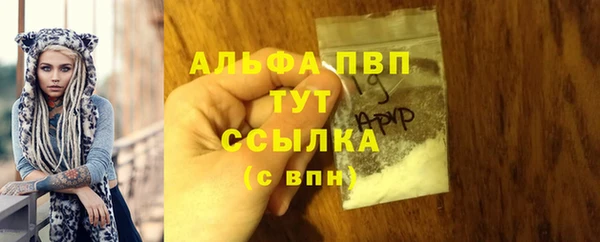 крисы Белоозёрский