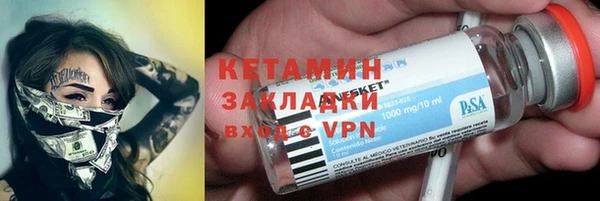 хмурый Белокуриха