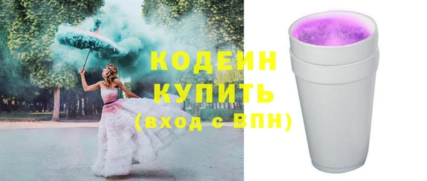хмурый Белокуриха