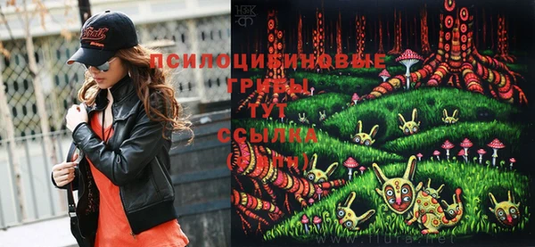 хмурый Белокуриха