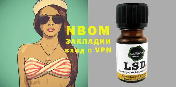 хмурый Белокуриха