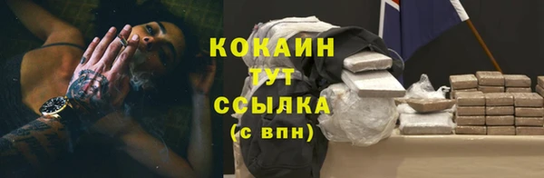 крисы Беломорск