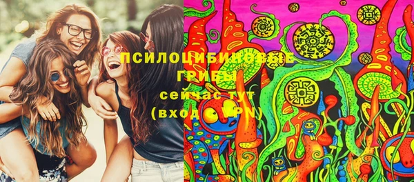 крисы Белоозёрский