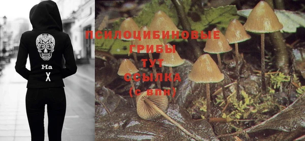 крисы Беломорск