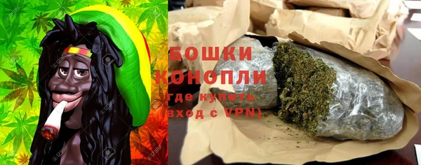 хмурый Белокуриха