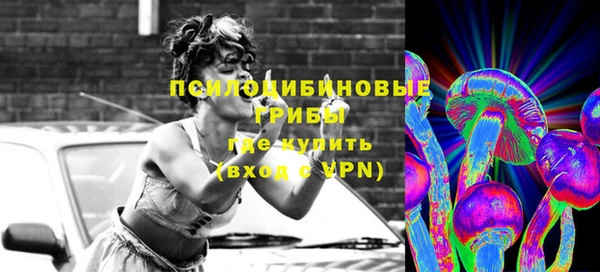 крисы Беломорск