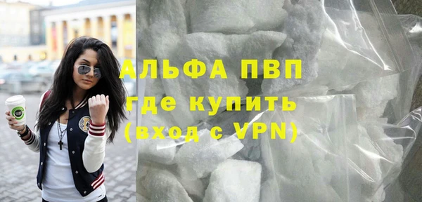 хмурый Белокуриха